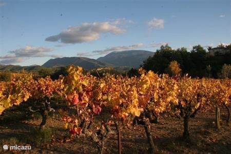 de mooiste wijndorpen/ les plus beaux villages de vigne