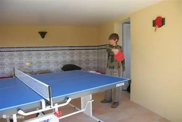 Junto al estudio también hay una amplia terraza cubierta con una mesa de tenis. ¿Te apetece una fiesta?