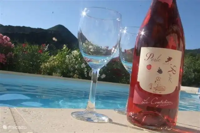 para los amantes del vino, una copa de la famosa región vinícola. Déjese llevar por la Ruta turística de las Costas del Ródano.