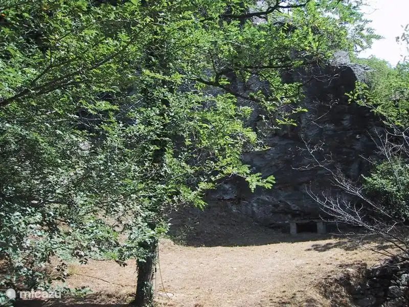 a picture of the large garden behind the house.