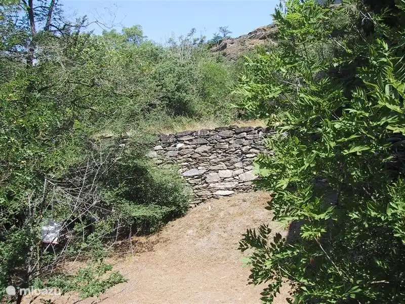 Our fully fenced garden behind the house.