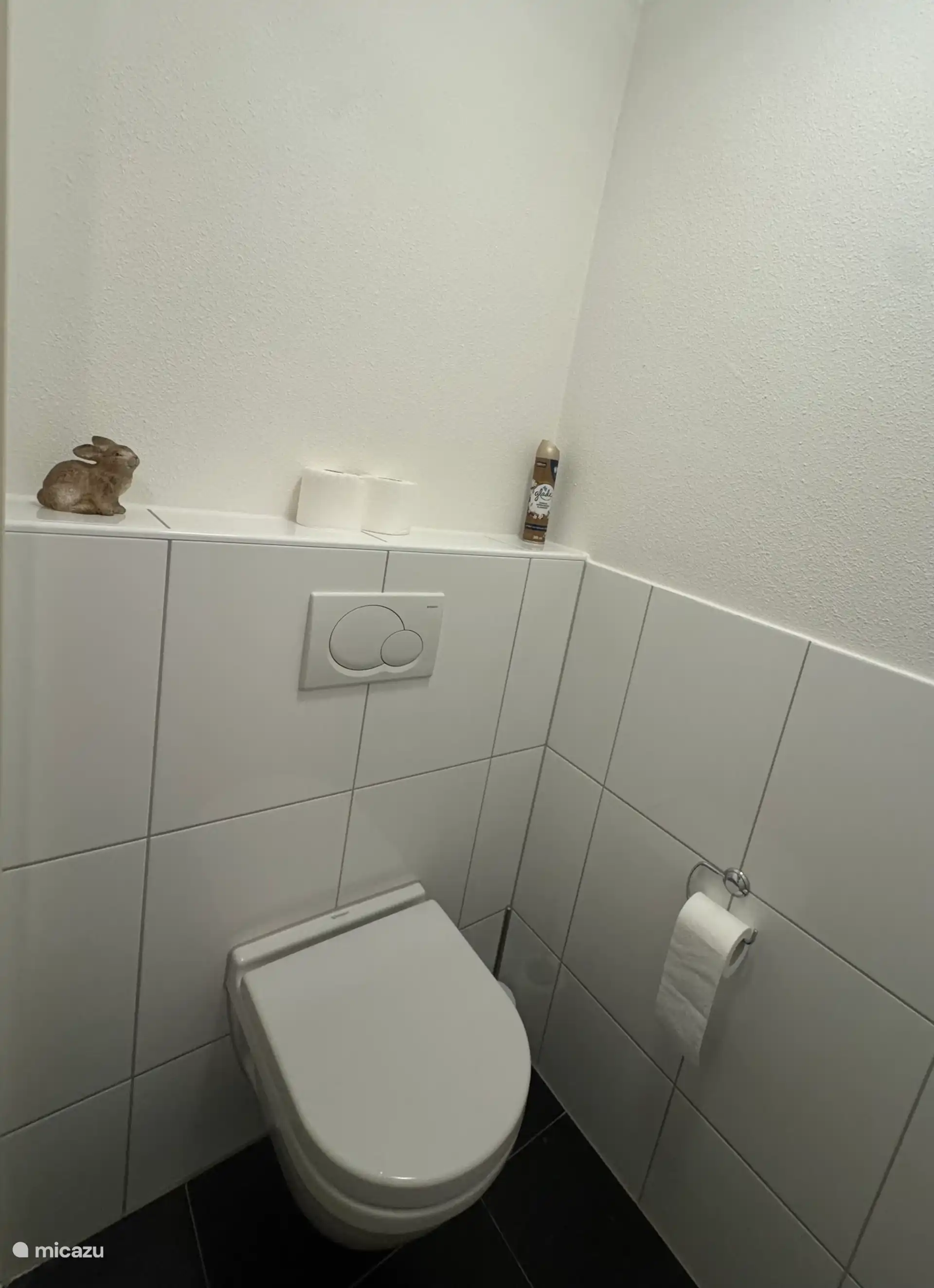 Het toilet in het souterrain is ook helemaal geschilderd.