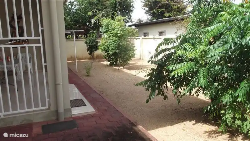 Backyard with ornamental and fruit trees.