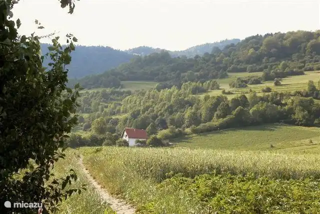 Uniquement détaché
