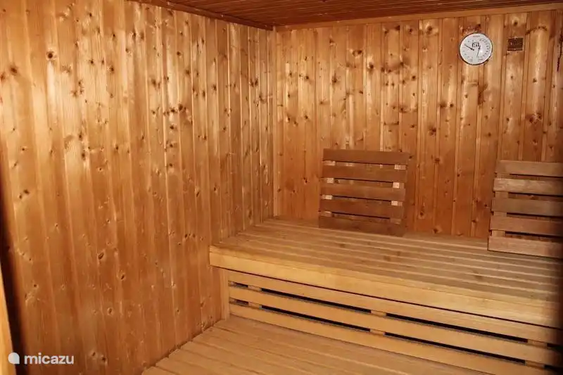12 pers. Vakantiehuis Der Steinbock