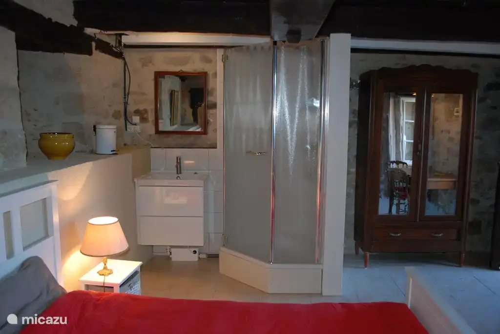 shower and sink in bedroom