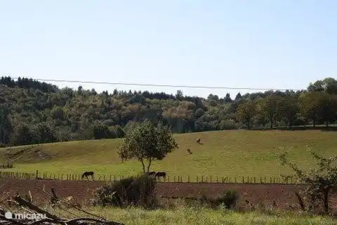 surroundings of the housing