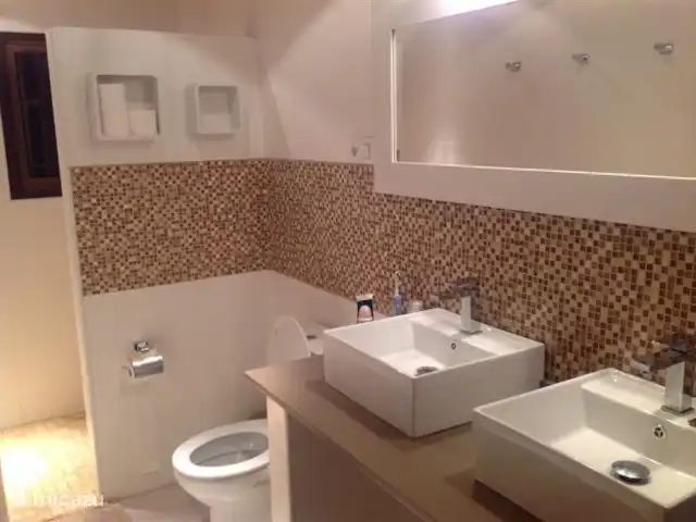 VillaValence | Espagne, Valence, Valence (ville) - villa La salle de bain a été entièrement rénovée avec une spacieuse douche à l'italienne avec mitigeur, WC et double vasque avec mitigeur et dessus en pierre naturelle. et décoration en mosaïque.