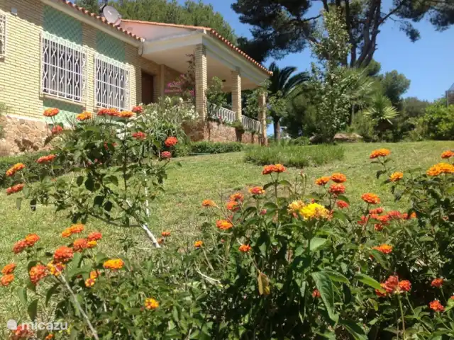 VillaValence | Espagne, Valence, Valence (ville) - villa Surtout au printemps, mais aussi en été tout fleurit