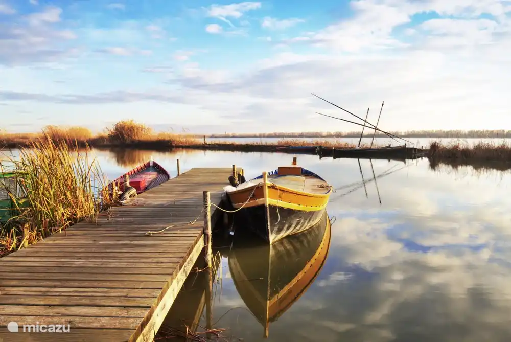 Albufera-See südlich von Valencia, wo der berühmte Paella-Reis angebaut wird