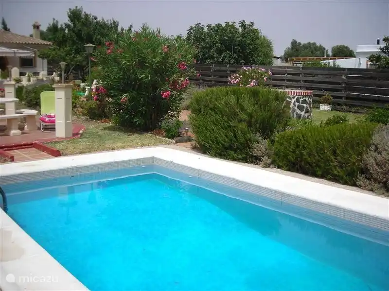 the pool
