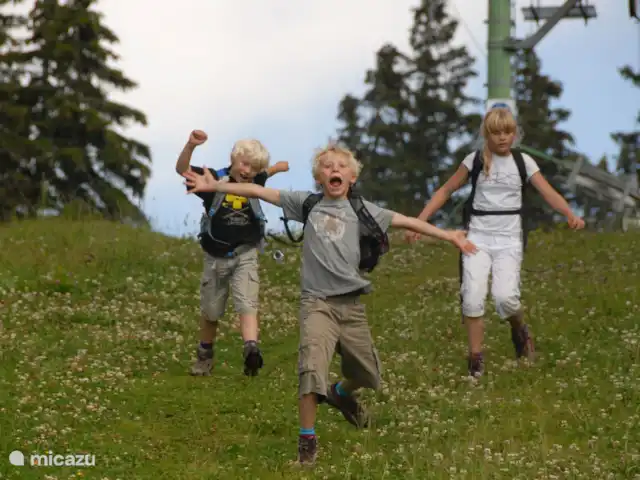 Chalet Panoramamix | Suisse, Valais, Torgon - chalet Un environnement adapté aux enfants