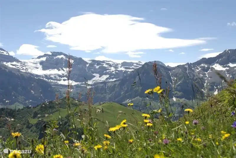 Many hiking opportunities