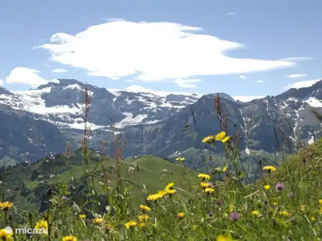 Chalet Panoramamix | Suisse, Valais, Torgon - chalet De nombreuses possibilités de randonnées