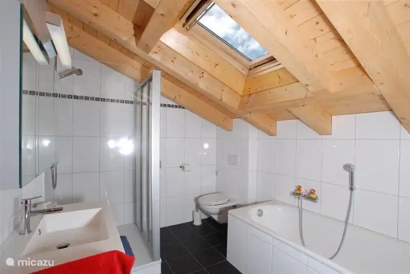 Modern and spacious bathroom with shower, bath and toilet