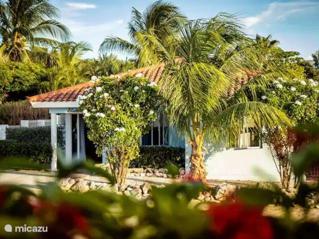 Villa Bleu Curaçao | Curaçao, Banda Ariba (est), Jan Thiel - villa Villa Bleu Curaçao | Curaçao, Banda Ariba (est), Jan Thiel - villa