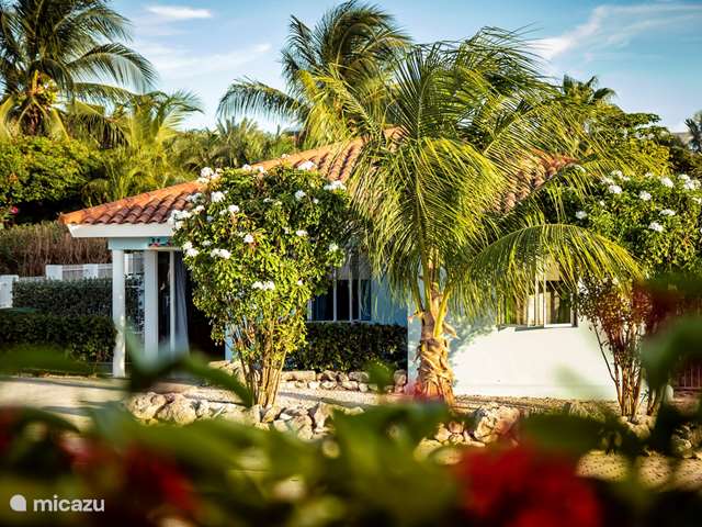 Vakantiehuis Curaçao – villa Villa Blue Curacao