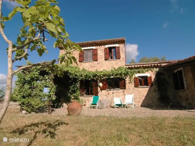 Valle degli Olivi | Italie, Campanie, Roccagloriosa - villa Arbres fruitiers autour de la maison.
