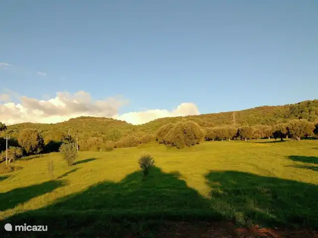 Valle degli Olivi | Italie, Campanie, Roccagloriosa - villa La vue depuis l'arrière de la Valle degli Olivi.