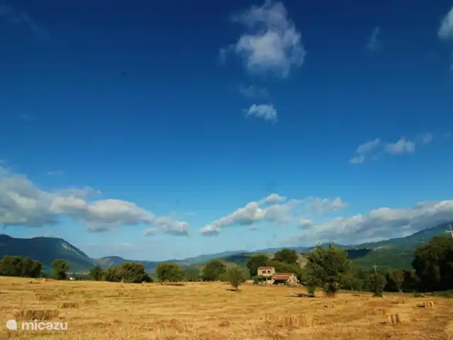 Valle degli Olivi | Italie, Campanie, Roccagloriosa - villa L'endroit très calme dans une belle nature.