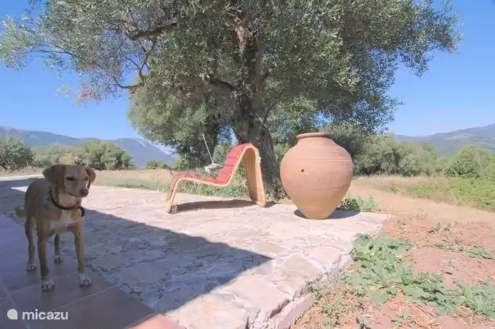 Die vordere Terrasse abgewandten Bergdörfer