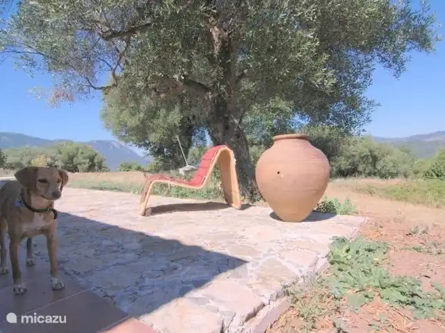 Valle degli Olivi | Italie, Campanie, Roccagloriosa - villa La terrasse à l'avant avec vue sur les villages de montagne lointains