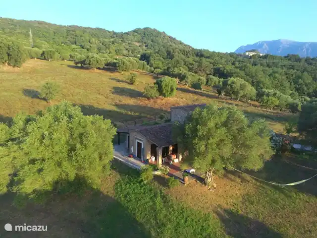 Valle degli Olivi | Italie, Campanie, Roccagloriosa - villa Au soleil du soir..