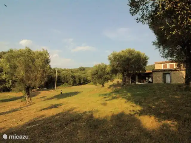 Valle degli Olivi | Italie, Campanie, Roccagloriosa - villa Le côté ouest de la Valle degli Olivi.