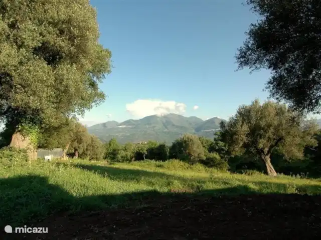 Valle degli Olivi | Italie, Campanie, Roccagloriosa - villa Valle degli Olivi situé dans une oliveraie