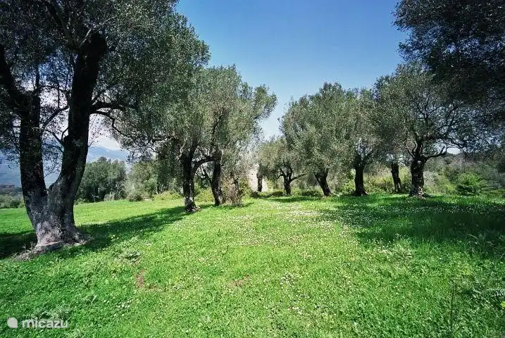 der Nähe des Hauses