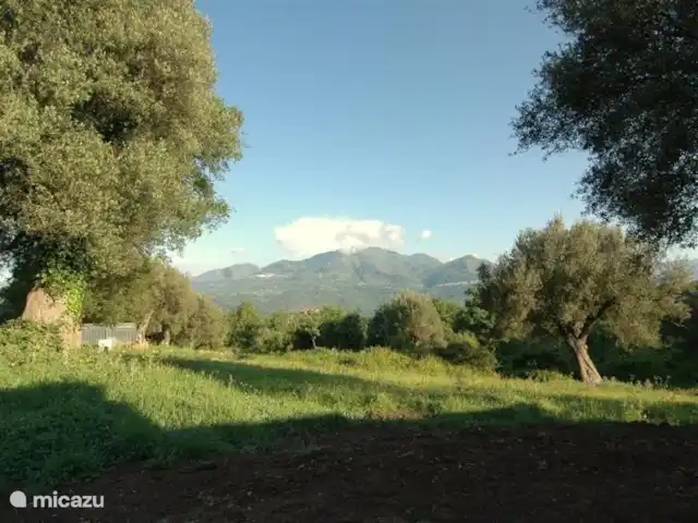 Valle degli Olivi | Italie, Campanie, Roccagloriosa - villa le voisinage immédiat de la maison avec la vue que vous avez à l'avant de la maison.