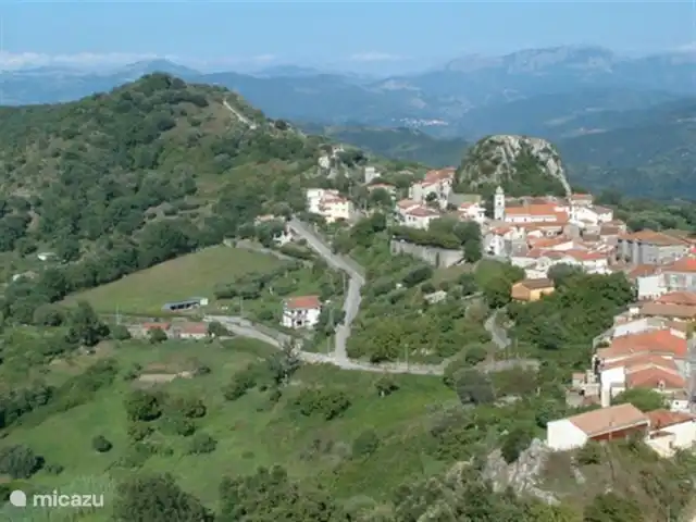 Valle degli Olivi | Italie, Campanie, Roccagloriosa - villa Roccagloriosa à 5 minutes en voiture de Valle degli Olivi