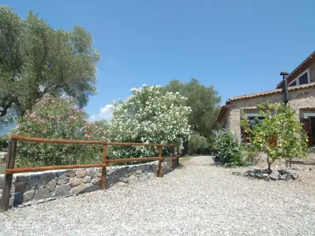 Valle degli Olivi | Italie, Campanie, Roccagloriosa - villa Un grand parking.