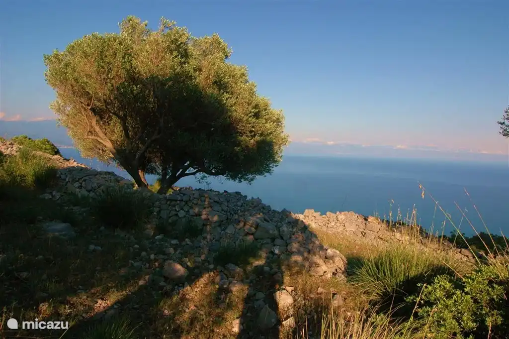 Atemberaubende Natur.