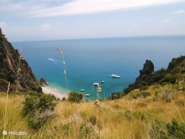 Valle degli Olivi | Italie, Campanie, Roccagloriosa - villa Baies paradisiaques.