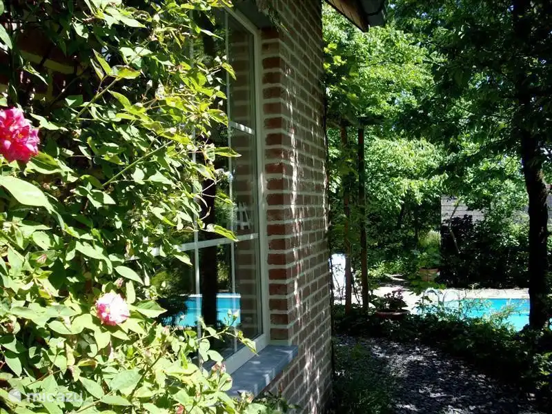 Die Seite des Hauses mit Pool Dazu suchen Sie in das, was geringer ist.