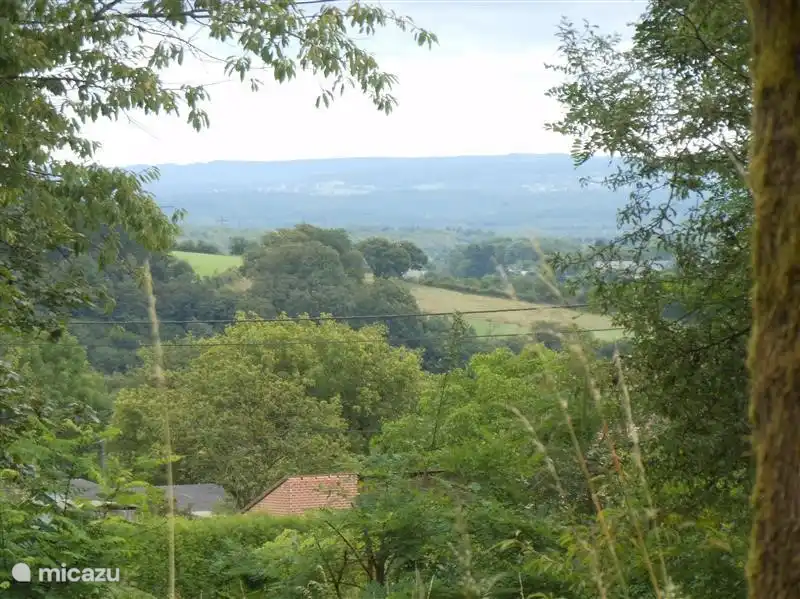 Der Blick aus dem Hinterhof.