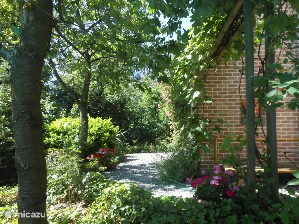 Das Haus, mit dem richtigen Frühstück Ort (Morgensonne)