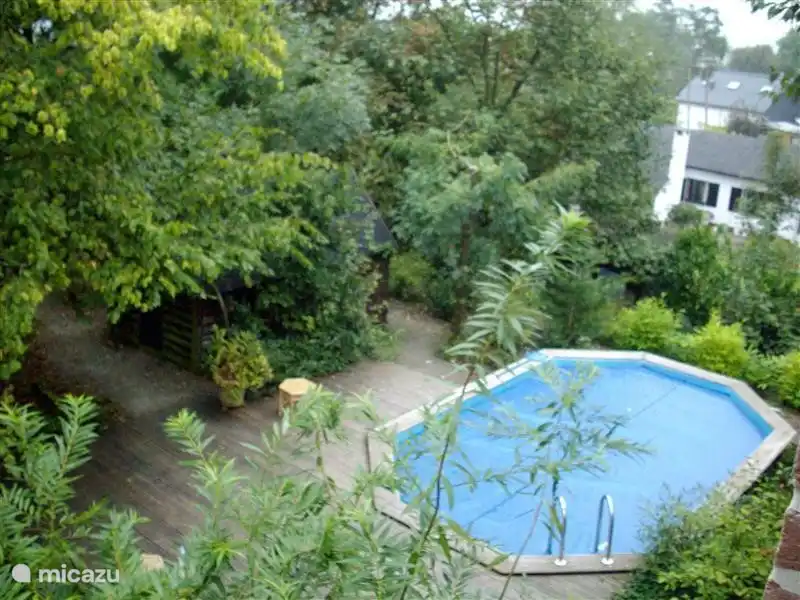 Das Schwimmbad komplett ins Grüne gehüllt. Draufsicht.