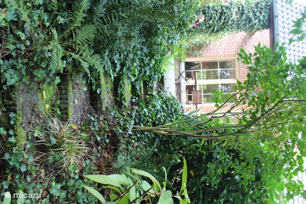 Spaziergang im Garten.