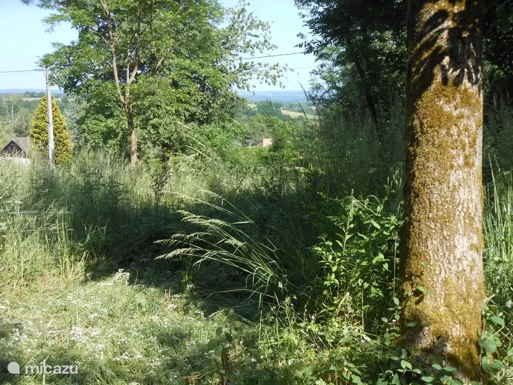 Der Blick auf den Hinterhof.