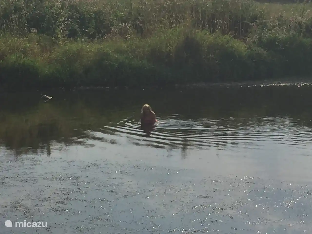 Ein 1 km langer Spaziergang bringt Sie zum Strand von Noiseux. Ein ruhiges Plätzchen an der Ourthe.
