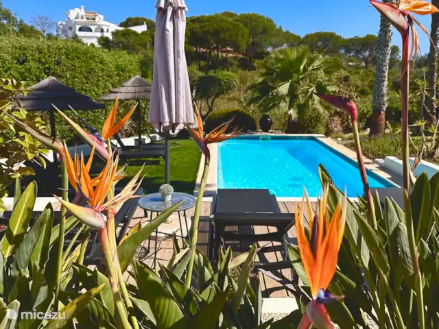 Casa Sereno Appartement Plage | Portugal, Algarve, Carvoeiro - appartement Casa Sereno Appartement Plage | Portugal, Algarve, Carvoeiro - appartement