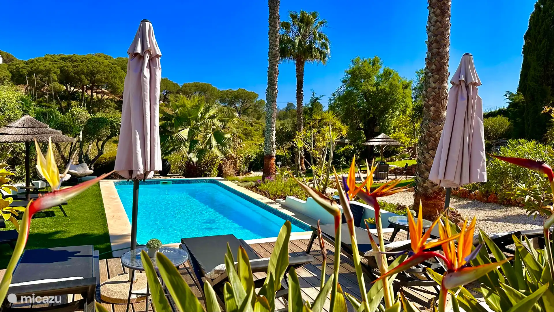 Garden with shared and heated swimming pool. With many places to enjoy.