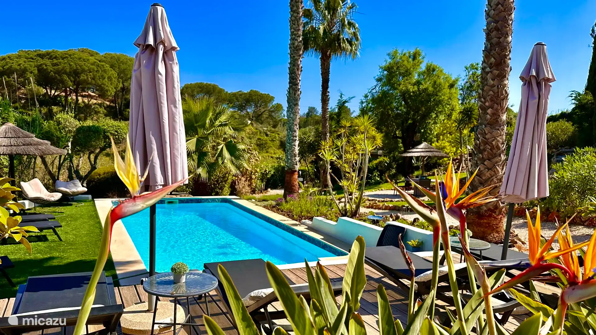 Garden with shared and heated swimming pool. With many places to enjoy.