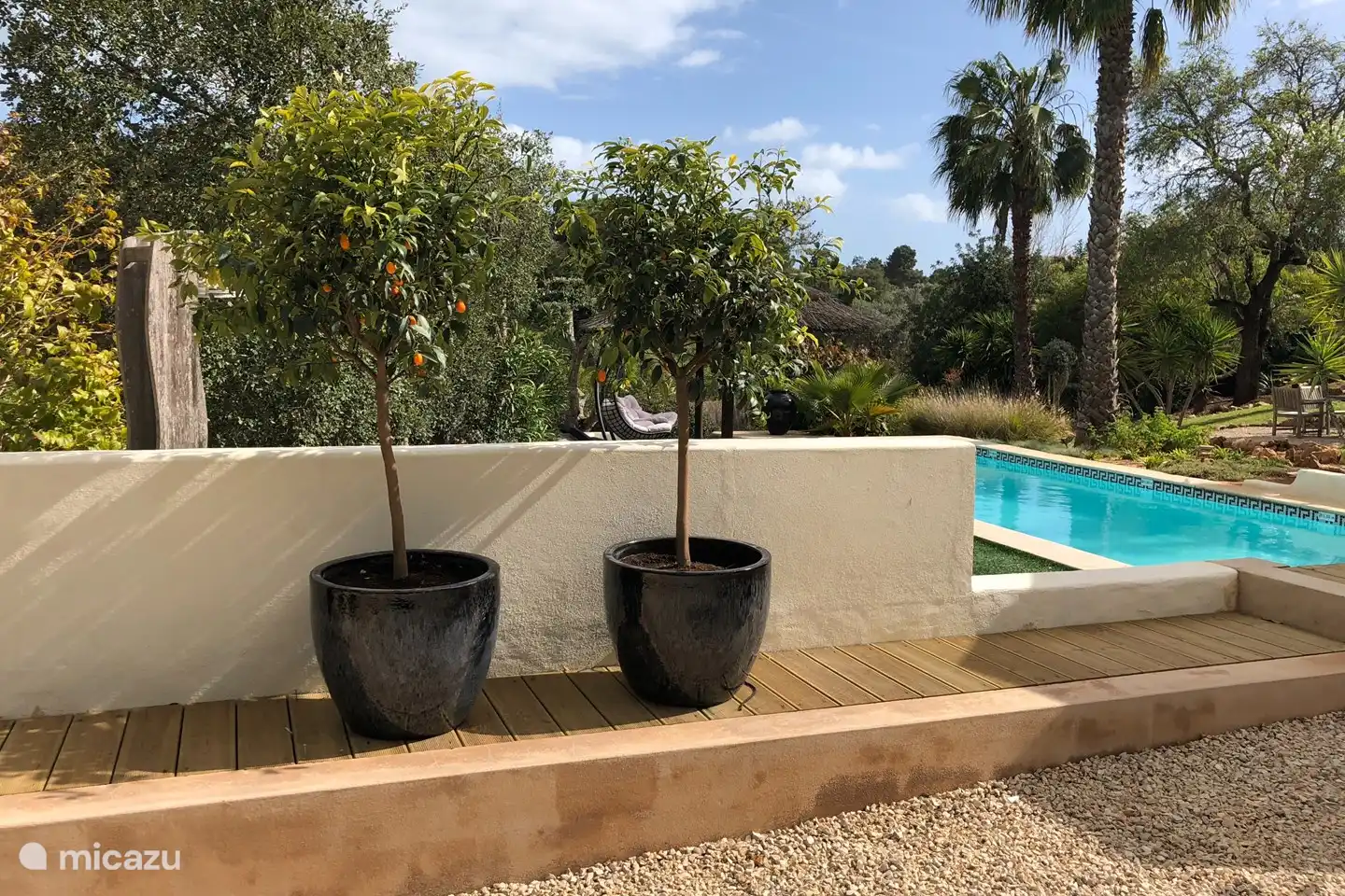 Swimming pool in the tropical garden.