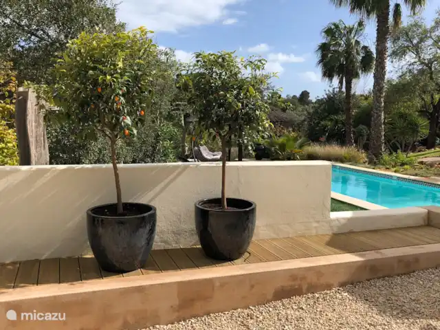 Casa Sereno Appartement Plage | Portugal, Algarve, Carvoeiro - appartement Piscine dans le jardin tropical.