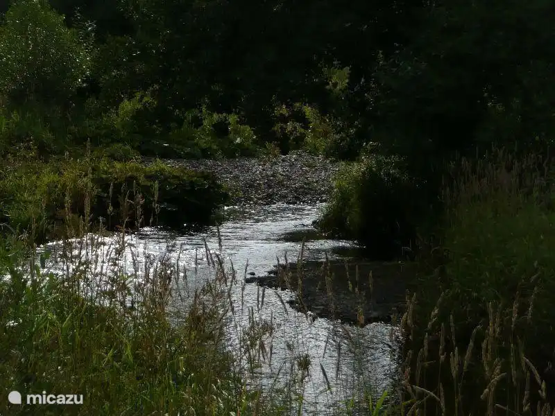 beekje op loopafstand