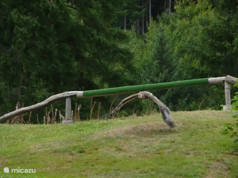 Roofvogelschow in Bad Sachsa
