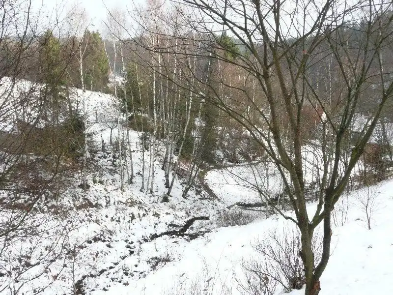 De tuin in de winter